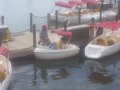 008-101_2758.jpg.small.jpeg