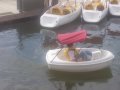 009-101_2759.jpg.small.jpeg