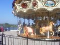 019-101_2770.jpg.small.jpeg