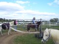 024-100_1629.jpg.small.jpeg