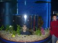 003-100_3245.jpg.small.jpeg