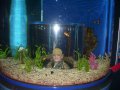 004-100_3246.jpg.small.jpeg