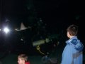 009-100_3251.jpg.small.jpeg
