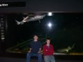 012-100_3254.jpg.small.jpeg