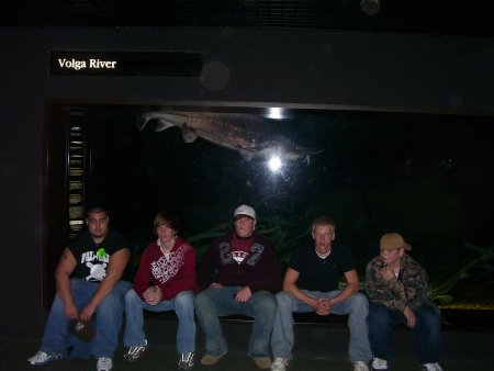 016-100_3258.jpg.medium.jpeg