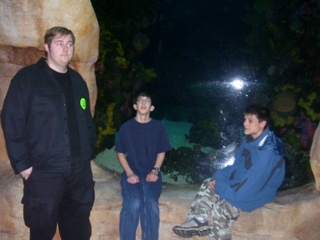 026-100_3268.jpg.medium.jpeg