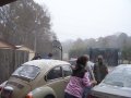 009-100_3295.jpg.small.jpeg