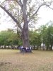 056-100_1679.jpg.small.jpeg