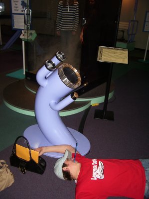 076-100_1763.JPG.medium.jpeg