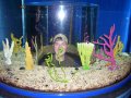 080-100_1824.JPG.small.jpeg