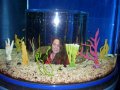 082-100_1826.JPG.small.jpeg