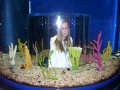 083-100_1827.JPG.small.jpeg