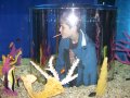 086-100_1830.JPG.small.jpeg