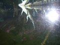 089-100_1833.JPG.small.jpeg