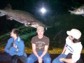 096-100_1840.JPG.small.jpeg