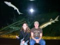 097-100_1841.JPG.small.jpeg