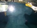 109-100_1853.JPG.small.jpeg