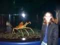 113-100_1857.JPG.small.jpeg