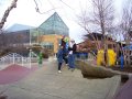 119-100_1863.JPG.small.jpeg