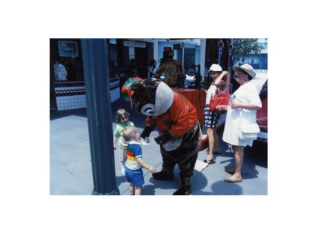 img014.jpeg.medium.jpeg