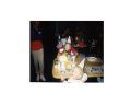 img021.jpeg.small.jpeg