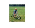img027.jpeg.small.jpeg