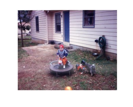 img036.jpeg.medium.jpeg