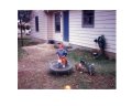 img036.jpeg.small.jpeg